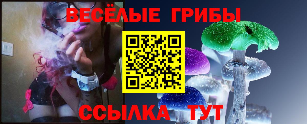 Балаково  Псилоцибиновые грибы Cubensis  Галлюциногенные грибы Cubensis  Вход с VPN 